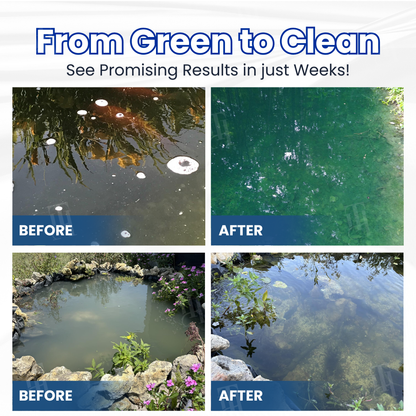 2026⏱️ Crystal Clear in 24 Hours! | AQUA-SENTRA Pro Formula