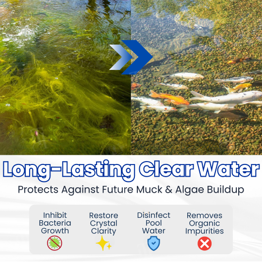 2026⏱️ Crystal Clear in 24 Hours! | AQUA-SENTRA Pro Formula